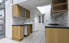 Greeny kitchen extension leads